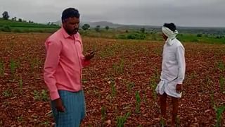 ದಶಕದ ಬಳಿಕ ಜೋಗ ಜಲಪಾತದಂತೆ ತುಂಬಿ ಹರಿದ ಉಚ್ಚಂಗಿದುರ್ಗದ ಹೊನ್ನಮ್ಮನ ಝರಿ -ಮನ ಸೋತ ಪ್ರವಾಸಿಗರು