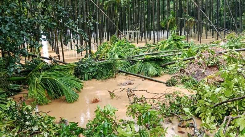 Thirthahalli Rain