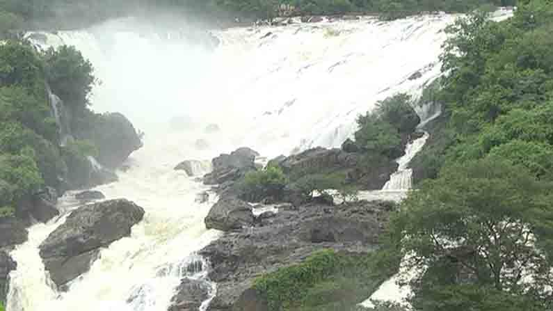 bharachukki falls  