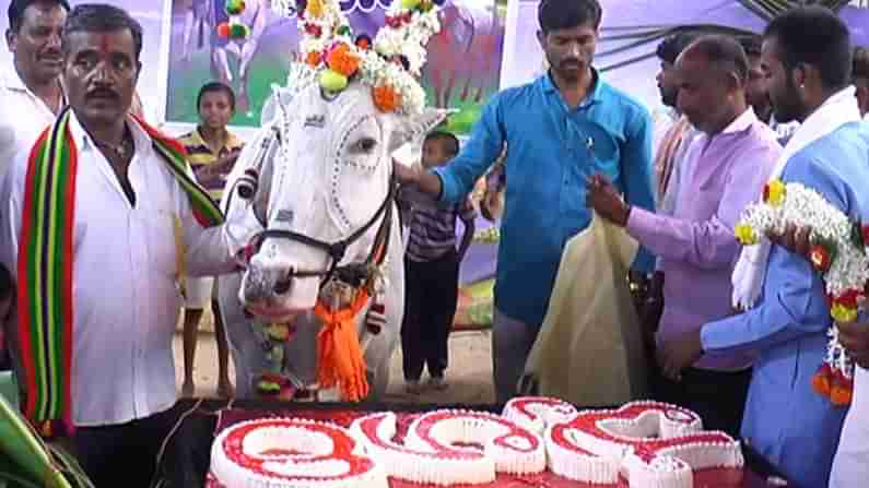 ಧಾರವಾಡ: ಮನೆ ಮಗನಂತೆ ಸಾಕಿರುವ ಎತ್ತಿಗೆ ಹುಟ್ಟುಹಬ್ಬ; 8 ಕೆಜಿ ಕೆಕ್ ಕತ್ತರಿಸಿ ಸಂಭ್ರಮಿಸಿದ ರೈತ ಕುಟುಂಬ