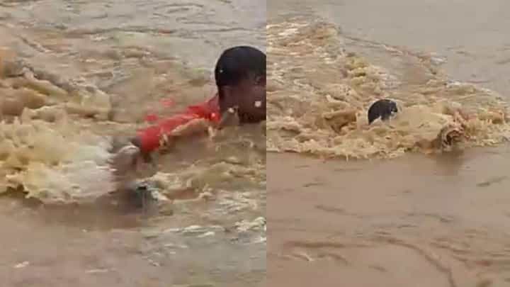 ಬೆಳಗಾವಿ ಜಿಲ್ಲೆಯಲ್ಲಿ ಭಾರೀ ಮಳೆ; ವಾಘವಾಡೆ ಬಳಿ ಹಳ್ಳದಲ್ಲಿ ಕೊಚ್ಚಿ ಹೋಗುತ್ತಿದ್ದ ಯುವಕನ ರಕ್ಷಣೆ ಬೆಳಗಾವಿ ಜಿಲ್ಲೆಯಲ್ಲಿ ಭಾರೀ ಮಳೆ; ವಾಘವಾಡೆ ಬಳಿ ಹಳ್ಳದಲ್ಲಿ ಕೊಚ್ಚಿ ಹೋಗುತ್ತಿದ್ದ ಯುವಕನ ರಕ್ಷಣೆ