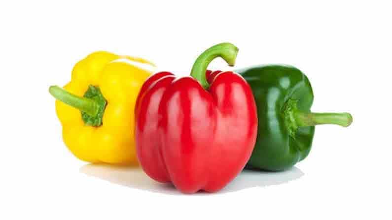 Health Benefits: ಕ್ಯಾಪ್ಸಿಕಂ ತಿನ್ನುವುದರಿಂದ ಆಗುವ ಪ್ರಯೋಜನಗಳ ಬಗ್ಗೆ ನೀವು ತಿಳಿದರೆ, ನಿತ್ಯವೂ ಸೇವಿಸುತ್ತೀರಿ Health Benefits: ಕ್ಯಾಪ್ಸಿಕಂ ತಿನ್ನುವುದರಿಂದ ಆಗುವ ಪ್ರಯೋಜನಗಳ ಬಗ್ಗೆ ನೀವು ತಿಳಿದರೆ, ನಿತ್ಯವೂ ಸೇವಿಸುತ್ತೀರಿ