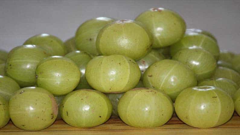 Health Tips: ಸಿಟ್ರಸ್ ಹಣ್ಣುಗಳು ರೋಗ ನಿರೋಧಕ ಶಕ್ತಿಯನ್ನು ಹೆಚ್ಚಿಸುತ್ತವೆಯೇ? ಇಲ್ಲಿದೆ ಮಾಹಿತಿ Health Tips: ಸಿಟ್ರಸ್ ಹಣ್ಣುಗಳು ರೋಗ ನಿರೋಧಕ ಶಕ್ತಿಯನ್ನು ಹೆಚ್ಚಿಸುತ್ತವೆಯೇ? ಇಲ್ಲಿದೆ ಮಾಹಿತಿ