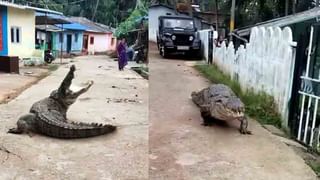 ಉತ್ತಮ ಫುಟ್‌ಪಾತ್ ಹೊಂದುವುದು ಜನರ ಹಕ್ಕು; ಇಲ್ಲದಿದ್ದರೆ ಏಜೆನ್ಸಿ ರಚಿಸಿ ಫುಟ್‌ಪಾತ್ ಒತ್ತುವರಿ ತೆರವು ಮಾಡಿಸ್ತೇವೆ: ಹೈಕೋರ್ಟ್ ಗರಂ