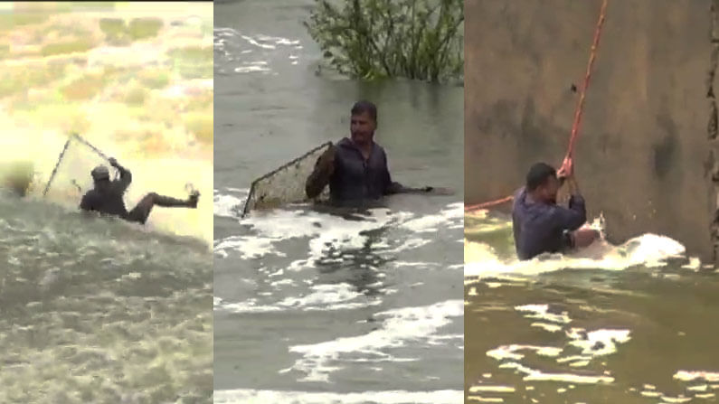 ದಾವಣಗೆರೆ: ಡ್ಯಾಂನಿಂದ ಹರಿದು ಬರುತ್ತಿರುವ ನೀರಿನಲ್ಲಿ ಮೀನು ಹಿಡಿಯುವ ಹುಚ್ಚು ಸಾಹಸಕ್ಕೆ ಇಳಿದು ಕೊಚ್ಚಿ ಹೋಗುತ್ತಿದ್ದ ಯುವಕ; ಅಪಾಯದಿಂದ ಪಾರು