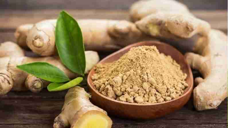 Ginger Powder: ಶುಂಠಿ ಸೇವನೆಯಿಂದ ಆರೋಗ್ಯಕ್ಕೆ ಎಷ್ಟೆಲ್ಲಾ ಪ್ರಯೋಜನಗಳಿವೆ ತಿಳಿಯಿರಿ