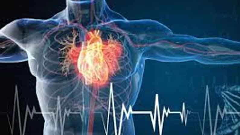 Healthy Heart: ಹೃದಯ ಬಡಿತದ ಮೇಲೆ ನಮ್ಮ ಆರೋಗ್ಯ ನಿಂತಿದೆ; ಈ ರೋಗ ಲಕ್ಷಣಗಳ ಬಗ್ಗೆ ಸದಾ ಎಚ್ಚರ ವಹಿಸಿ Healthy Heart: ಹೃದಯ ಬಡಿತದ ಮೇಲೆ ನಮ್ಮ ಆರೋಗ್ಯ ನಿಂತಿದೆ; ಈ ರೋಗ ಲಕ್ಷಣಗಳ ಬಗ್ಗೆ ಸದಾ ಎಚ್ಚರ ವಹಿಸಿ