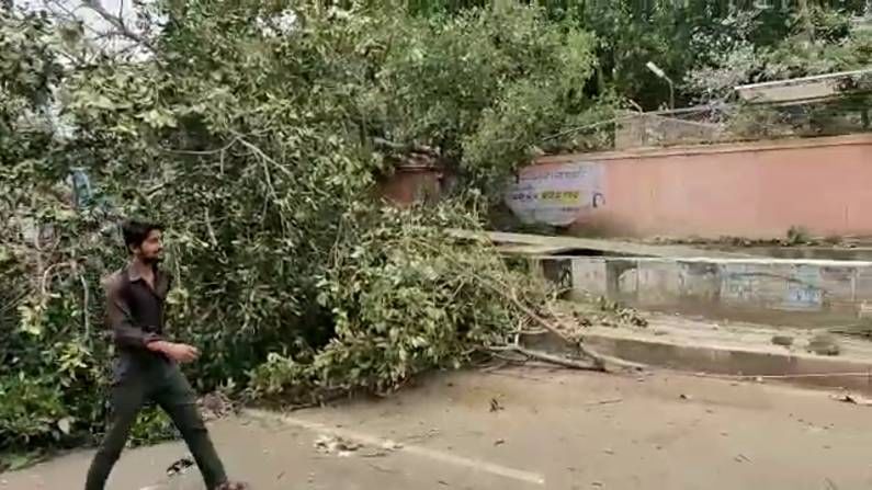 hescom negligence hundreds of birds died in mahalingpur in bagalkot district