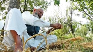 ಏಷ್ಯಾ ಬುಕ್​ ಆಫ್​ ರೆಕಾರ್ಡ್ಸ್​ ಸೇರಿದ 4 ವರ್ಷದ ಬಾಲಕಿ ಹೆಸರು