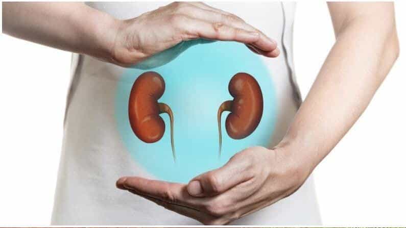 Health Benefits: ಕಿಡ್ನಿ ಸಮಸ್ಯೆ ಉಂಟಾದ ಮೇಲೆ ಪರಿಹಾರ ಹುಡುಕುವ ಬದಲು, ಪ್ರತಿದಿನ ಡಿಟಾಕ್ಸ್ ಮಾಡಿ ಕುಡಿಯಿರಿ Health Benefits: ಕಿಡ್ನಿ ಸಮಸ್ಯೆ ಉಂಟಾದ ಮೇಲೆ ಪರಿಹಾರ ಹುಡುಕುವ ಬದಲು, ಪ್ರತಿದಿನ ಡಿಟಾಕ್ಸ್ ಮಾಡಿ ಕುಡಿಯಿರಿ