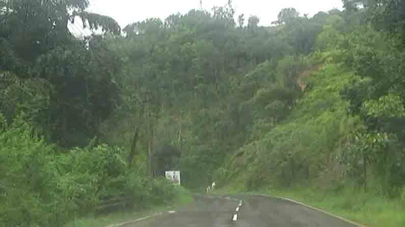 madikeri and mangalore national highway 
