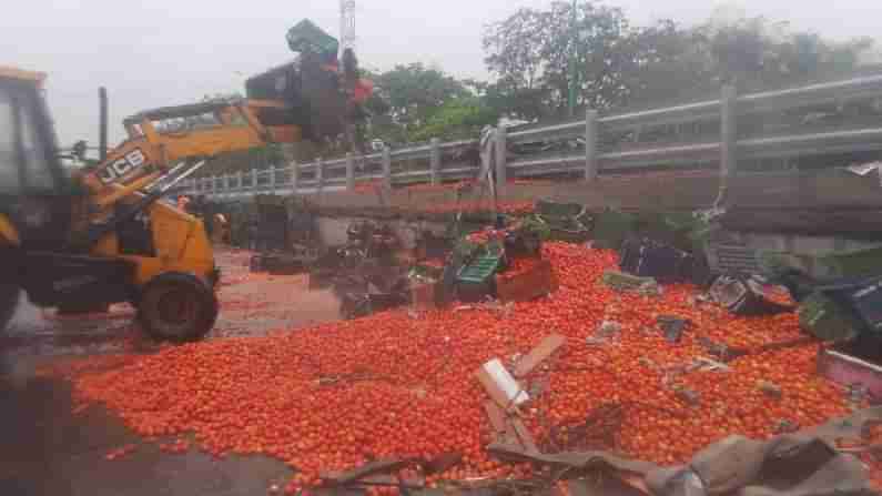 Viral Video: ಮುಂಬೈ ಹೆದ್ದಾರಿಯಲ್ಲಿ ಬಿದ್ದ 20 ಟನ್​ ಟೊಮ್ಯಾಟೋ ವಿಡಿಯೋ ವೈರಲ್