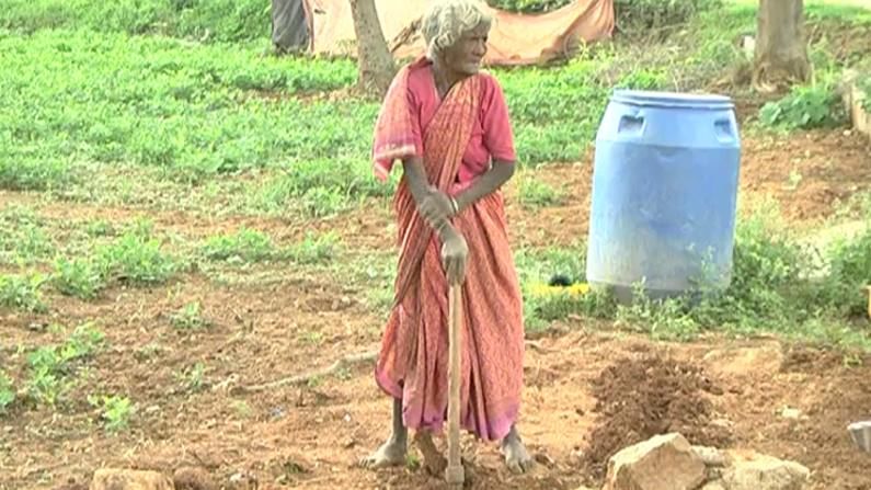 ನಾಟಿ ಕೋಳಿ ಮೊಟ್ಟೆ ಮಾರಿ ಜೀವನ ಸಾಗಿಸುತ್ತಿರುವ ವೃದ್ಧೆ; ಯುವಕರನ್ನು ನಾಚಿಸುವಂತಿದೆ 90 ವರ್ಷದ ಅಜ್ಜಿಯ ಉತ್ಸಾಹ