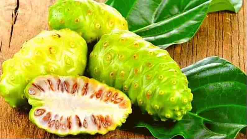 Noni Fruit: ನೋಣಿ ಹಣ್ಣಿನ ಬಗ್ಗೆ ನಿಮಗೆ ತಿಳಿದಿದೆಯೇ? ಇದರ ಬೇರು, ಹಣ್ಣು ಮತ್ತು ಎಲೆ ಅನೇಕ ಆರೋಗ್ಯಕರ ಗುಣಗಳಿಂದ ಕೂಡಿದೆ