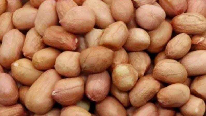 Health Benefits: ಕಡಲೆಕಾಯಿ ತಿನ್ನುವ ಅಭ್ಯಾಸ ಇದೆಯೇ? ಸಿಪ್ಪೆಯ ಜತೆಗೆ ಇದನ್ನು ಸೇವಿಸುವುದರಿಂದಾಗುವ ಆರೋಗ್ಯಕರ ಬದಲಾವಣೆಗಳ ಬಗ್ಗೆ ತಿಳಿಯಿರಿ Health Benefits: ಕಡಲೆಕಾಯಿ ತಿನ್ನುವ ಅಭ್ಯಾಸ ಇದೆಯೇ? ಸಿಪ್ಪೆಯ ಜತೆಗೆ ಇದನ್ನು ಸೇವಿಸುವುದರಿಂದಾಗುವ ಆರೋಗ್ಯಕರ ಬದಲಾವಣೆಗಳ ಬಗ್ಗೆ ತಿಳಿಯಿರಿ