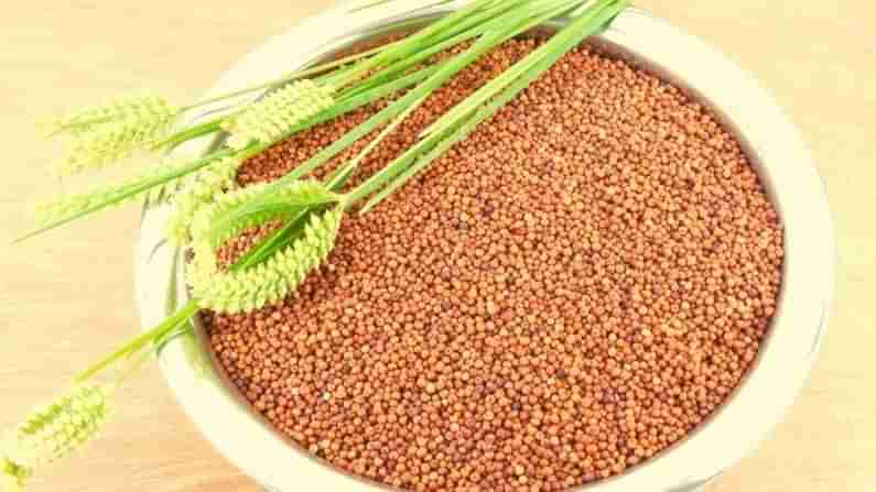 Ragi Health Benefits: ರಾಗಿ ಸೇವಿಸುವುದರಿಂದಾಗುವ ಆರೋಗ್ಯಕರ ಪ್ರಯೋಜನಗಳ ಬಗ್ಗೆ ತಿಳಿದರೆ ಪ್ರತಿನಿತ್ಯ ಇದನ್ನು ಸೇವಿಸುತ್ತೀರಿ