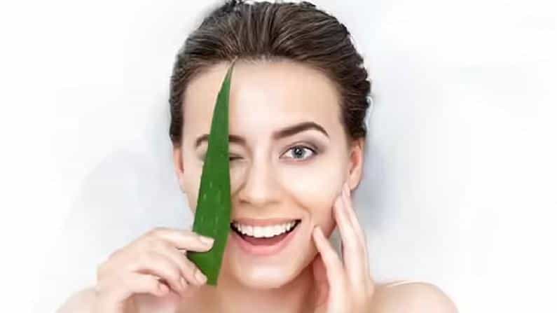 Aloe Vera Benefits: ಚರ್ಮದ ಕಾಂತಿಯನ್ನು ಹೆಚ್ಚಿಸಲು ಅಲೋವೆರಾ ಬಳಸಿ Aloe Vera Benefits: ಚರ್ಮದ ಕಾಂತಿಯನ್ನು ಹೆಚ್ಚಿಸಲು ಅಲೋವೆರಾ ಬಳಸಿ