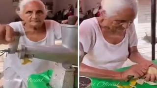 Viral video: ಪ್ರಾಣವನ್ನೇ ಪಣಕ್ಕಿಟ್ಟು ದುಸ್ಸಾಹಸಕ್ಕಿಳಿದ ಯುವಕ