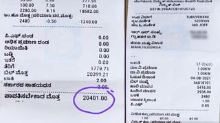 ಲಂಚ ಪಡೆದ ಸರ್ಕಾರಿ ವೈದ್ಯೆ, ನರ್ಸ್​ಗೆ ಜೈಲು ಶಿಕ್ಷೆ ವಿಧಿಸಿದ ತುಮಕೂರು ನ್ಯಾಯಾಲಯ; ಹಸು ಮಾರಿ ಹಣ ನೀಡಿದ ಮಹಿಳೆಗೆ ನ್ಯಾಯ