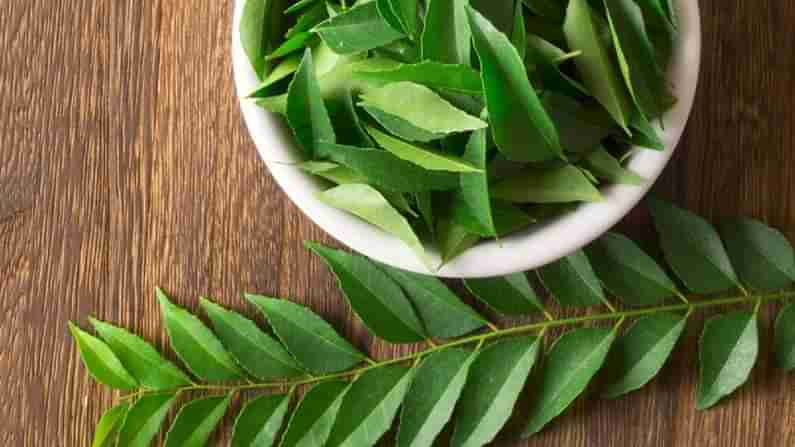 Curry Leaves: ಸರ್ವೇ ಸಾಮಾನ್ಯವಾಗಿ ಎಲ್ಲರನ್ನೂ ಕಾಡುವ ಈ 4 ಸಮಸ್ಯೆಗಳಿಗೆ ಕರಿಬೇವು ಸುಲಭ ಮದ್ದು