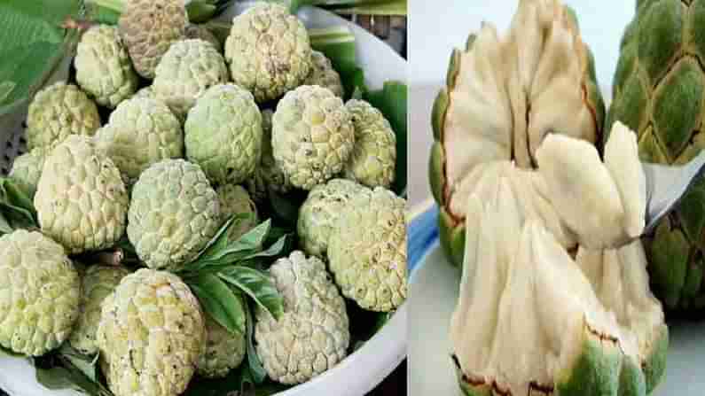 Custard Apple: ಸೀತಾಫಲ ಹಣ್ಣು ಸೇವಿಸುದರಿಂದ ಅನೇಕ ಆರೋಗ್ಯಕರ ಪ್ರಯೋಜನಗಳಿವೆ