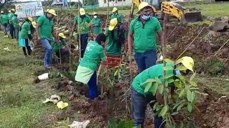 ದಾವಣಗೆರೆ: ಜಪಾನ್ ಮಿಯಾ ವಾಕಿ ಮಾದರಿಯಲ್ಲಿ ಹಸಿರು ಬೆಳೆಸಲು ಮುಂದಾದ ಮಹಾನಗರ ಪಾಲಿಕೆ