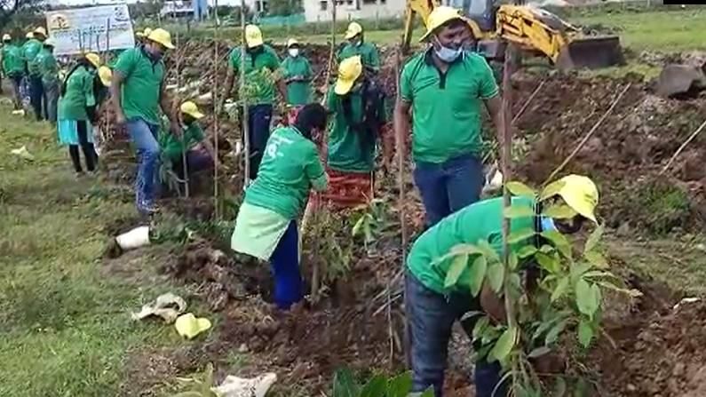 ದಾವಣಗೆರೆ: ಜಪಾನ್ ಮಿಯಾ ವಾಕಿ ಮಾದರಿಯಲ್ಲಿ ಹಸಿರು ಬೆಳೆಸಲು ಮುಂದಾದ ಮಹಾನಗರ ಪಾಲಿಕೆ