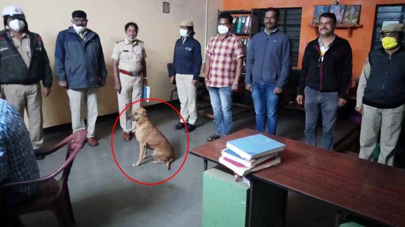 World Dog Day: ಪೊಲೀಸ್ ಠಾಣೆಯನ್ನೇ ಮನೆಯಾಗಿಸಿಕೊಂಡ ಧಾರವಾಡದ ಈ ಶ್ವಾನದ ಬಗ್ಗೆ ಪೊಲೀಸರಿಗೆ ಅಕ್ಕರೆ World Dog Day: ಪೊಲೀಸ್ ಠಾಣೆಯನ್ನೇ ಮನೆಯಾಗಿಸಿಕೊಂಡ ಧಾರವಾಡದ ಈ ಶ್ವಾನದ ಬಗ್ಗೆ ಪೊಲೀಸರಿಗೆ ಅಕ್ಕರೆ