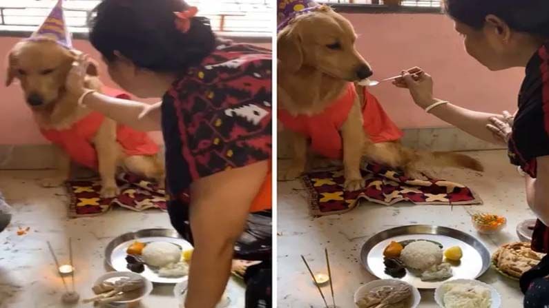 Viral Video: ನಾಯಿಯ ಹುಟ್ಟುಹಬ್ಬಕ್ಕೆ ಔತಣಕೂಟ ಏರ್ಪಡಿಸಿದ ಮನೆ ಮಂದಿ! ವಿಡಿಯೊ ವೈರಲ್