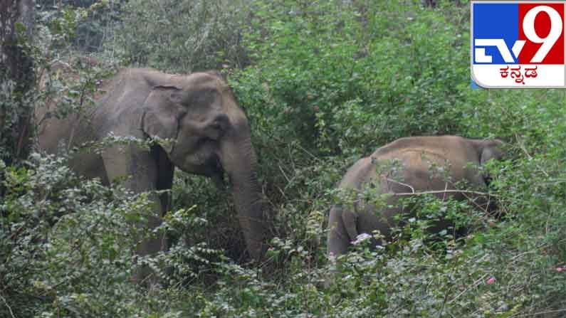 ಮುಂದೆ ನಡಿ ಬೇಗ