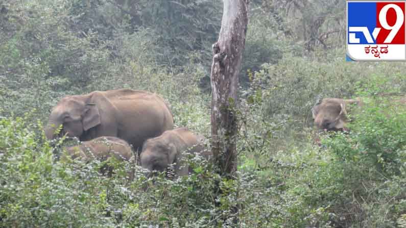 ಫೋಟೊ ತೆಗೀತಾರಂತೆ ಅವರು