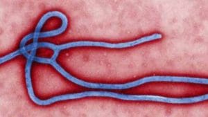 ಕೊರೋನಾವೈರಸ್​ನಂತೆ ಎಬೋಲಾ ವೈರಸ್ ಸಹ ರೂಪಾಂತರ ತಳೆದಿದೆ, ಪಶ್ಚಿಮ ಆಫ್ರಿಕಾನಲ್ಲಿ ರೂಪಾಂತರಿ ಎಬೋಲಾಗೆ ಒಬ್ಬ ಬಲಿ