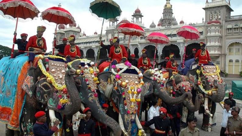 ದಸರಾ ಜಂಬೂ ಸವಾರಿಗೆ ಆನೆಗಳ ಆಯ್ಕೆ; ವಿವಿಧ ಕ್ಯಾಂಪ್​ಗಳಿಂದ 14 ಆನೆಗಳ ಪಟ್ಟಿ ಮಾಡಿದ ಅರಣ್ಯಾಧಿಕಾರಿಗಳು