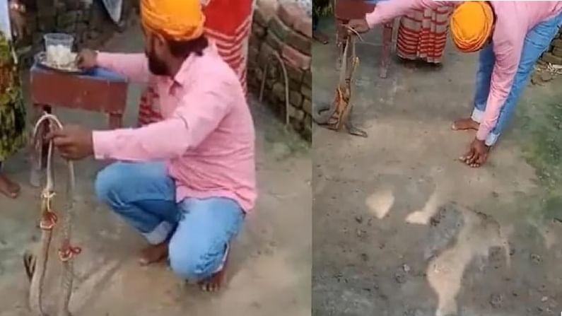 Viral Video: ರಾಖಿ ಕಟ್ಟಿದವನನ್ನೇ ಕಚ್ಚಿ ಕೊಂದ ಹಾವುಗಳು!; ಈ ವಿಡಿಯೋ ನೋಡಿದರೆ ಬೆಚ್ಚಿ ಬೀಳ್ತೀರಿ