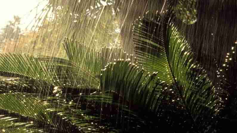 Karnataka Weather Today: ಕರ್ನಾಟಕದ ಹಲವೆಡೆ ಇಂದಿನಿಂದ ಆ. 30ರವರೆಗೆ ಭಾರೀ ಮಳೆ; ಇಂದಿನ ಹವಾಮಾನ ಹೀಗಿದೆ