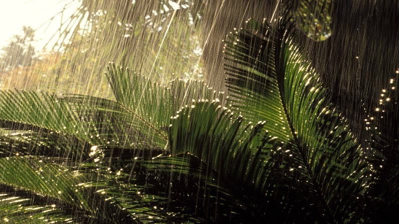 Karnataka Weather Today: ಕರ್ನಾಟಕದ ಹಲವೆಡೆ ಇಂದಿನಿಂದ ಆ. 30ರವರೆಗೆ ಭಾರೀ ಮಳೆ; ಇಂದಿನ ಹವಾಮಾನ ಹೀಗಿದೆ