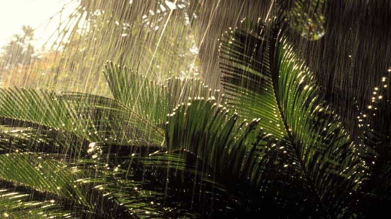 Karnataka Weather Today: ಕರ್ನಾಟಕದ ಹಲವೆಡೆ ಇಂದಿನಿಂದ ಆ. 30ರವರೆಗೆ ಭಾರೀ ಮಳೆ; ಇಂದಿನ ಹವಾಮಾನ ಹೀಗಿದೆ Karnataka Weather Today: ಕರ್ನಾಟಕದ ಹಲವೆಡೆ ಇಂದಿನಿಂದ ಆ. 30ರವರೆಗೆ ಭಾರೀ ಮಳೆ; ಇಂದಿನ ಹವಾಮಾನ ಹೀಗಿದೆ
