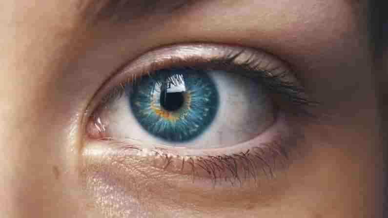 Eye Care: ಕಣ್ಣುಗಳ ಆರೋಗ್ಯ ಕಾಪಾಡಲು ಹೀಗೆ ಮಾಡಿ