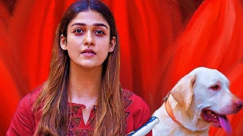 Nayanthara: ಇತ್ತೀಚೆಗಷ್ಟೇ ವಿಘ್ನೇಶ್ ಶಿವನ್ ಕುರಿತು ಮಾತನಾಡಿ, ಈಗ ಹೊಸ ಸಂಗಾತಿಯೊಂದಿಗೆ ಕಾಣಿಸಿಕೊಂಡ ನಯನತಾರಾ