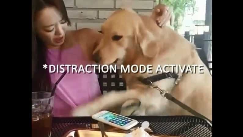 Viral Video: ಇಷ್ಟವಾದ ತಿಂಡಿಯನ್ನು ಎಗರಿಸಲು ಈ ನಾಯಿ ಮಾಡಿದ ಖತರ್ನಾಕ್ ಪ್ಲಾನ್ ಏನು?; ವಿಡಿಯೊ ನೋಡಿ Viral Video: ಇಷ್ಟವಾದ ತಿಂಡಿಯನ್ನು ಎಗರಿಸಲು ಈ ನಾಯಿ ಮಾಡಿದ ಖತರ್ನಾಕ್ ಪ್ಲಾನ್ ಏನು?; ವಿಡಿಯೊ ನೋಡಿ