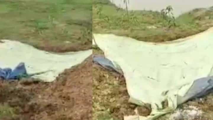 ಮುನ್ನೂರಕ್ಕಿಂತ ಹೆಚ್ಚು ಅಮಾಯಕ ನಾಯಿಗಳನ್ನು ಕೊಂದವರಿಗೆ ಕಠಿಣ ಶಿಕ್ಷೆಯಾಗಲೇ ಬೇಕು ಅನ್ನುತ್ತಿದ್ದಾರೆ ನೆಟ್ಟಿಗರು ಮುನ್ನೂರಕ್ಕಿಂತ ಹೆಚ್ಚು ಅಮಾಯಕ ನಾಯಿಗಳನ್ನು ಕೊಂದವರಿಗೆ ಕಠಿಣ ಶಿಕ್ಷೆಯಾಗಲೇ ಬೇಕು ಅನ್ನುತ್ತಿದ್ದಾರೆ ನೆಟ್ಟಿಗರು