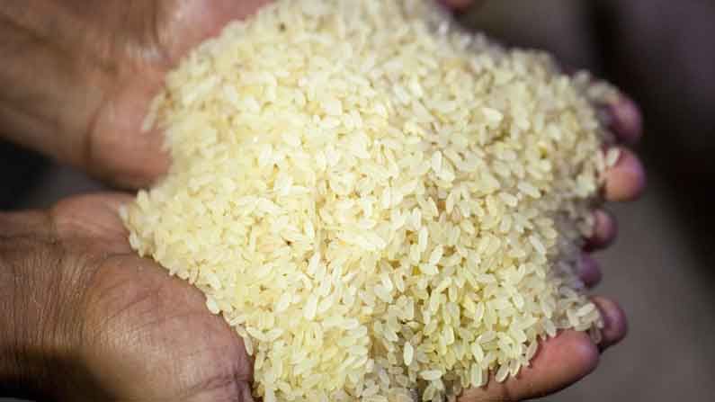 Fortified Rice: ಸಾರವರ್ಧಿತ ಅಕ್ಕಿ ಬಗ್ಗೆ ಪ್ರಧಾನಿ ನರೇಂದ್ರ ಮೋದಿಯವರ ಘೋಷಣೆ ಮಹತ್ವದ್ದು; ಕಾರಣವೇನು?