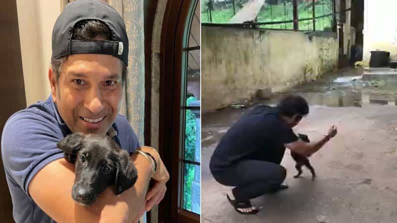 ಸಚಿನ್ ತೆಂಡೂಲ್ಕರ್ ಹೊಸ ಫ್ರೆಂಡ್ ಸ್ಪೈಕ್ ಜೊತೆ ಆಟವಾಡುತ್ತಿರುವ ವಿಡಿಯೋ ನೋಡಿ ಸಚಿನ್ ತೆಂಡೂಲ್ಕರ್ ಹೊಸ ಫ್ರೆಂಡ್ ಸ್ಪೈಕ್ ಜೊತೆ ಆಟವಾಡುತ್ತಿರುವ ವಿಡಿಯೋ ನೋಡಿ
