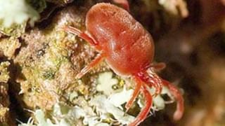 Coronavirus cases in India: ದೇಶದಲ್ಲಿ 41,965 ಹೊಸ ಕೊವಿಡ್ ಪ್ರಕರಣ ಪತ್ತೆ, 460 ಮಂದಿ ಸಾವು