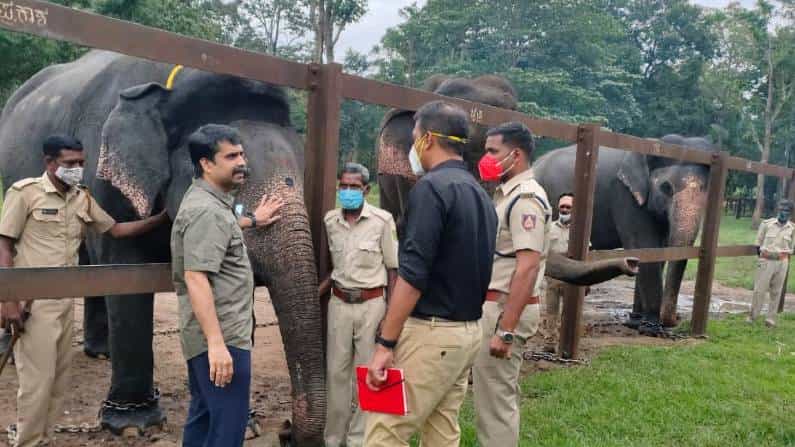 Dasara 2021: ಮೈಸೂರು ದಸರಾಗೆ ಪ್ರಾಥಮಿಕ ಹಂತದಲ್ಲಿ ಚೈತ್ರಾ, ಲಕ್ಷ್ಮೀ, ಪಾರ್ಥಸಾರಥಿ ಆನೆಗಳು ಆಯ್ಕೆ Dasara 2021: ಮೈಸೂರು ದಸರಾಗೆ ಪ್ರಾಥಮಿಕ ಹಂತದಲ್ಲಿ ಚೈತ್ರಾ, ಲಕ್ಷ್ಮೀ, ಪಾರ್ಥಸಾರಥಿ ಆನೆಗಳು ಆಯ್ಕೆ