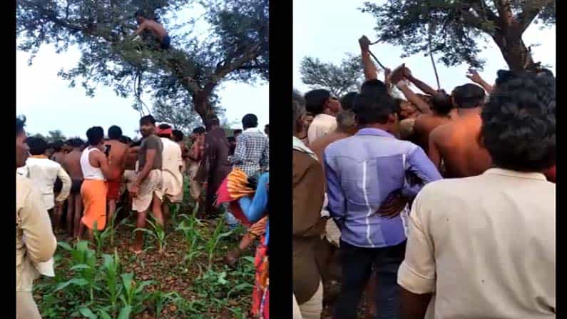Video: ನೀರಿನಲ್ಲಿ ಮುಳುಗಿ ಸಾವಿಗೀಡಾದ ವ್ಯಕ್ತಿಯ ಮೃತದೇಹವನ್ನು ತಲೆಕೆಳಗಾಗಿ ಮರಕ್ಕೆ ನೇತು ಹಾಕಿದ ಗ್ರಾಮಸ್ಥರು