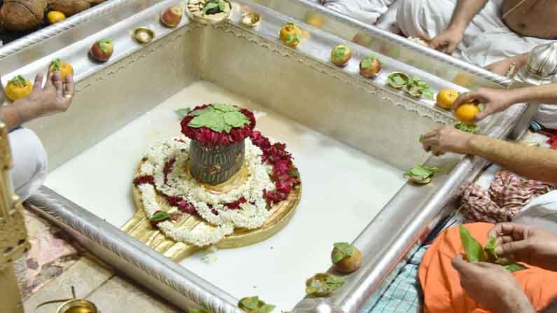 7. ವಿಶ್ವನಾಥ ಜ್ಯೋತಿರ್ಲಿಂಗ, ಉತ್ತರ ಪ್ರದೇಶ (Vishwanath Jyotirlinga, Uttar Pradesh): ಉತ್ತರ ಪ್ರದೇಶದ ವಾರಣಾಸಿ ನಗರವು ಧರ್ಮ ನಗರಿಯನ್ನು ಕಾಶಿ (Kashi) ಎಂದೂ ಕರೆಯಲಾಗುತ್ತದೆ. ಇದು ಗಂಗಾ ನದಿಯ ದಡದಲ್ಲಿದೆ. ಶಿವನು ಕೈಲಾಸ ತೊರೆದು ಇಲ್ಲಿ ತನ್ನ ಶಾಶ್ವತ ನಿವಾಸವನ್ನು ಮಾಡಿಕೊಂಡಿದ್ದಾನೆ ಎಂದು ನಂಬಲಾಗಿದೆ.