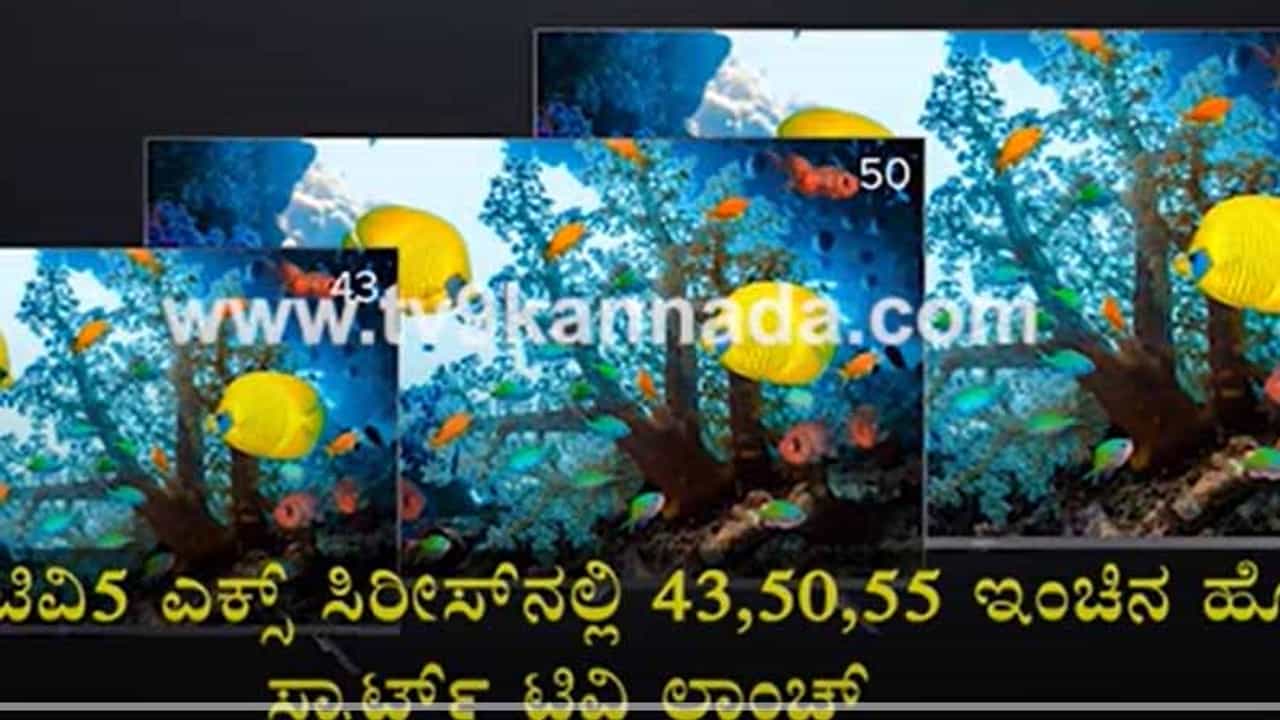 ಟಿವಿ ಮಾರ್ಕೆಟ್ನಲ್ಲಿ ಹೆಸರು ಸ್ಥಾಪಿಸುವ ಪಣತೊಟ್ಟ ಶಾಮಿ ಸಂಸ್ಥೆಯಿಂದ ಮೂರು ವಿವಿಧ ಸೈಜಿನ ಸ್ಮಾರ್ಟ್ ಟಿವಿಗಳ ಲಾಂಚ್ ಟಿವಿ ಮಾರ್ಕೆಟ್ನಲ್ಲಿ ಹೆಸರು ಸ್ಥಾಪಿಸುವ ಪಣತೊಟ್ಟ ಶಾಮಿ ಸಂಸ್ಥೆಯಿಂದ ಮೂರು ವಿವಿಧ ಸೈಜಿನ ಸ್ಮಾರ್ಟ್ ಟಿವಿಗಳ ಲಾಂಚ್