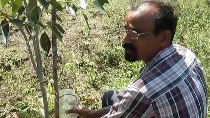 ಉಪನ್ಯಾಸಕ ಹುದ್ದೆ ತೊರೆದ ವ್ಯಕ್ತಿಗೆ ಕೃಷಿಯೇ ಪ್ರಯೋಗ ಶಾಲೆ; ನೀರಿನ ಮಿತ ಬಳಕೆ ಹಾಗೂ ಸಹಜ ಕೃಷಿಯೇ ಮೂಲ ಮಂತ್ರ ಉಪನ್ಯಾಸಕ ಹುದ್ದೆ ತೊರೆದ ವ್ಯಕ್ತಿಗೆ ಕೃಷಿಯೇ ಪ್ರಯೋಗ ಶಾಲೆ; ನೀರಿನ ಮಿತ ಬಳಕೆ ಹಾಗೂ ಸಹಜ ಕೃಷಿಯೇ ಮೂಲ ಮಂತ್ರ