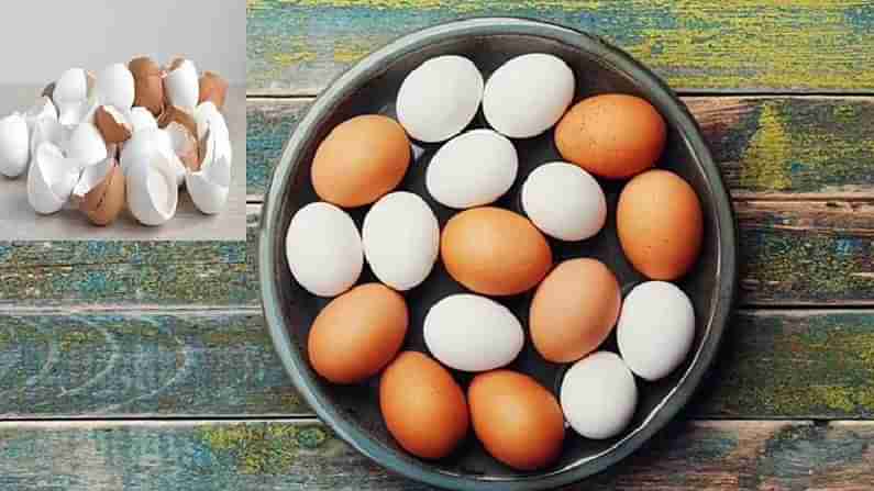 Egg shells benefits: ಮೊಟ್ಟೆಯ ಸಿಪ್ಪೆಗಳನ್ನು ಎಸೆಯುತ್ತಿದ್ದೀರಾ? ಹಾಗಿದ್ದರೆ ಇದರ ಆರೋಗ್ಯ ಪ್ರಯೋಜನಗಳ ಬಗ್ಗೆ ತಿಳಿಯಿರಿ